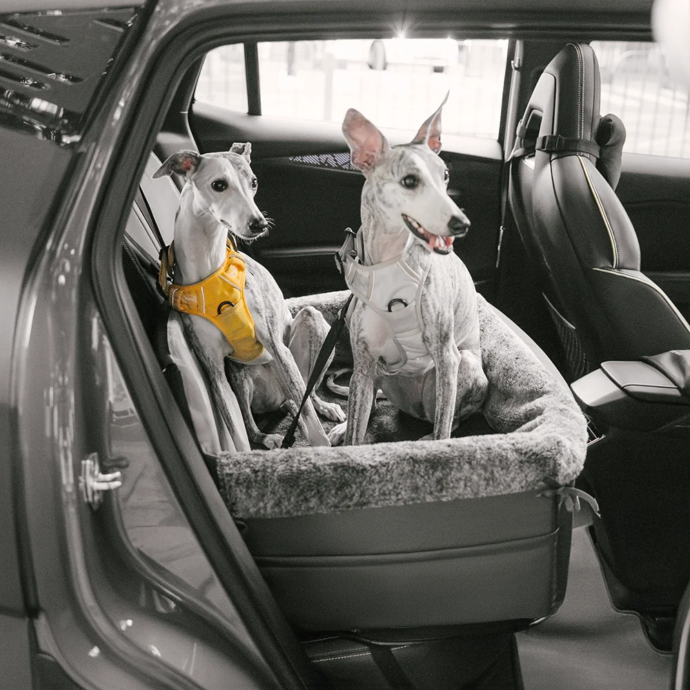 Sicurezza in viaggio: lettino dog car all-season BaseCamp