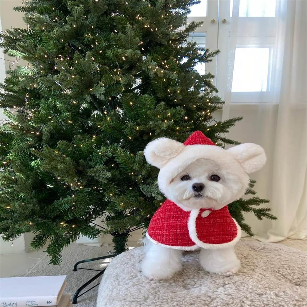 Christmas Bear Hooded Dog Cape – Festive and Adorable for the Holidays