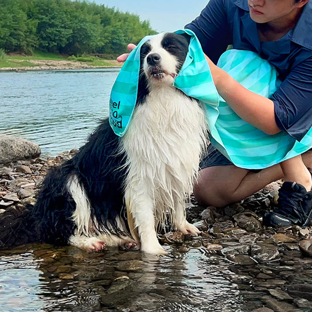 Asciugamano coperta da viaggio per cani ultra assorbente, leggero e ad asciugatura rapida