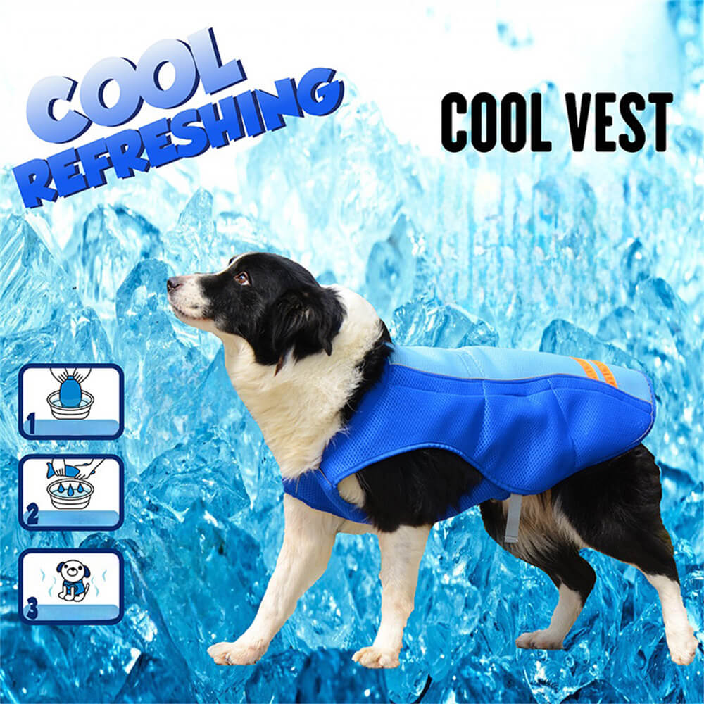 Pet dog clothes color matching bright color fashion dog outdoor cool clothes sun protection vest