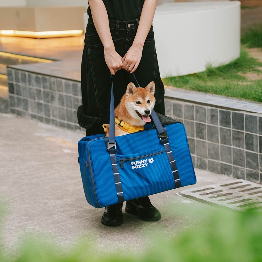 Seggiolino Auto Booster per Cani Sicuro Impermeabile e Trasportino per Animali - Gympet