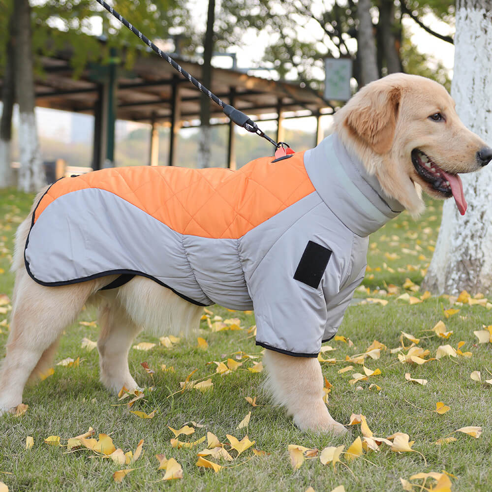 Winter reflective warm big dog cotton jacket - suitable for outdoor adventures