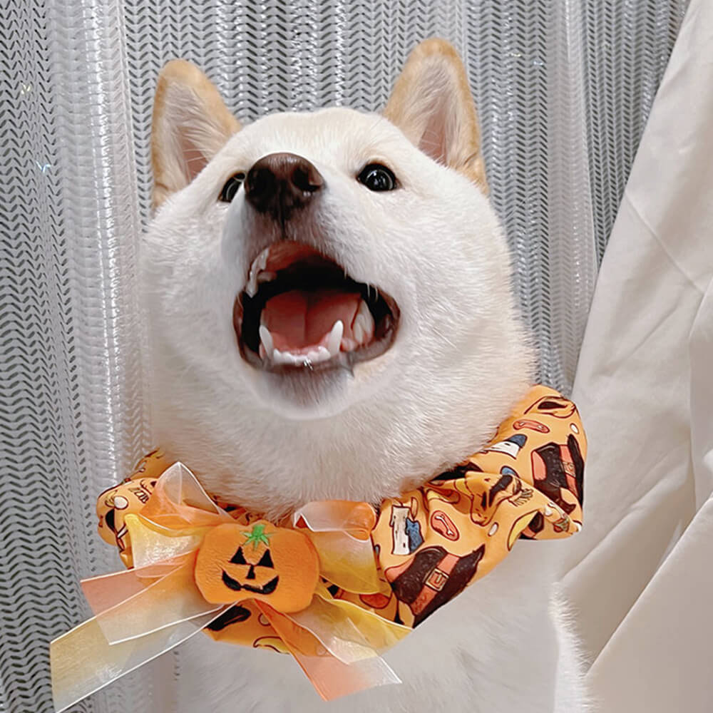 Pañuelo lindo del perro de Halloween con volantes de calabaza Pañuelo