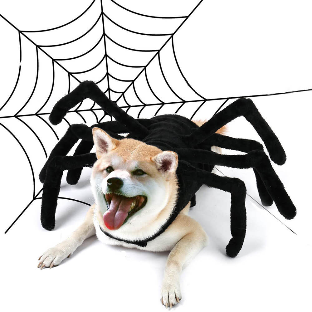 Disfraz divertido de Halloween para mascotas con espalda en el pecho y espalda de araña para perros y gatos pequeños