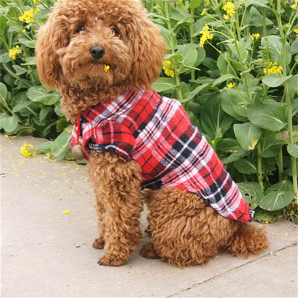 Camicia per Cani a Quadri Classica - Confortevole e alla Moda per Ogni Occasione