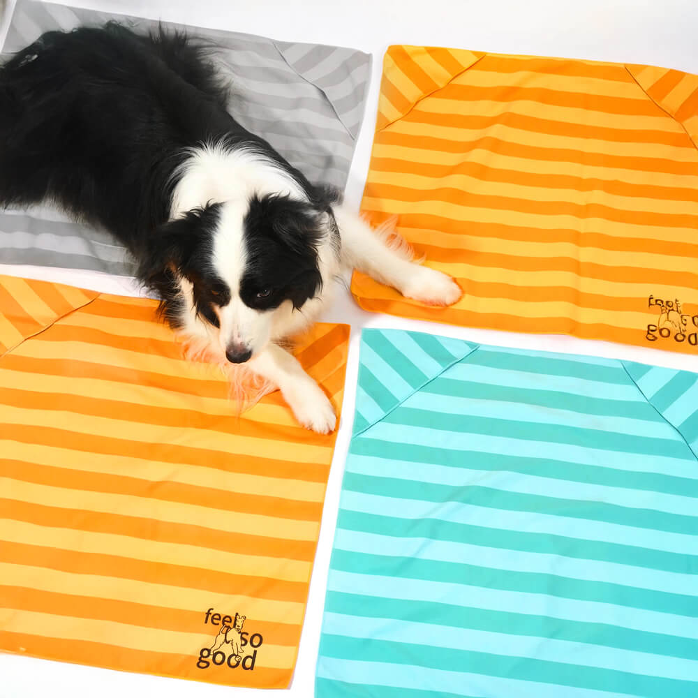 Asciugamano coperta da viaggio per cani ultra assorbente, leggero e ad asciugatura rapida