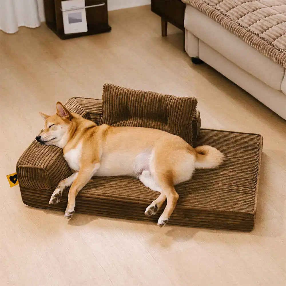 ComfySofa – Letto ortopedico per cani in corduroy anti-graffi, removibile