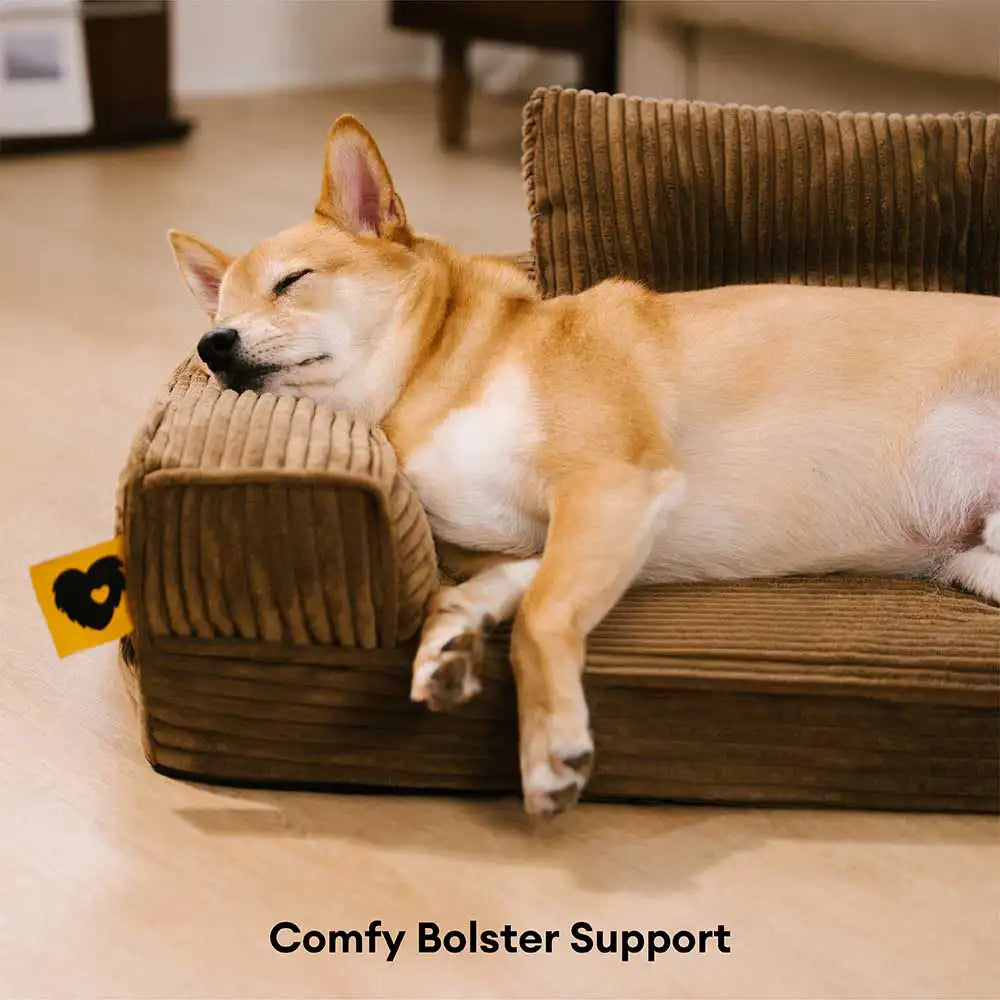 ComfySofa – Letto ortopedico per cani in corduroy anti-graffi, removibile