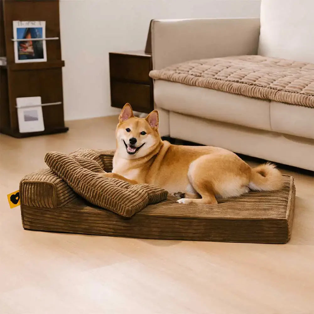 ComfySofa – Letto ortopedico per cani in corduroy anti-graffi, removibile