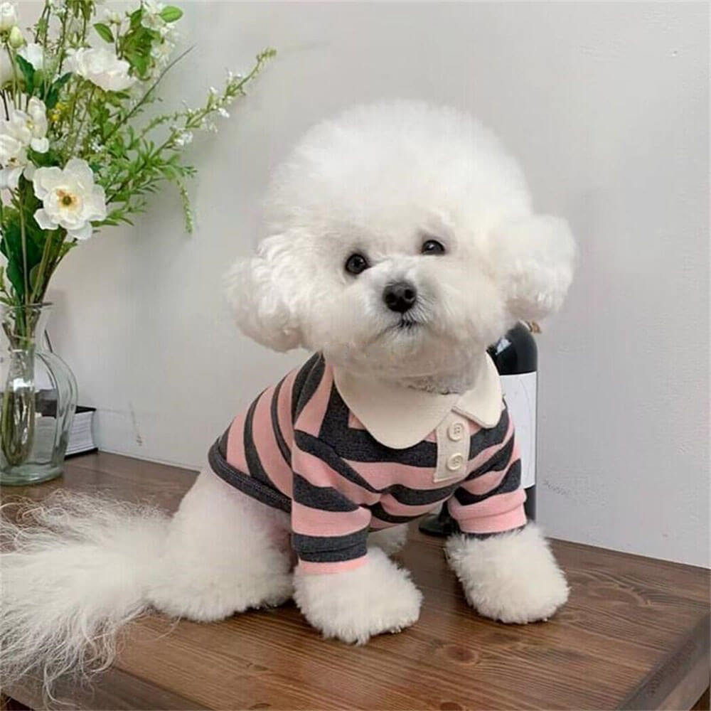 Magliette per cani a polo a righe classiche