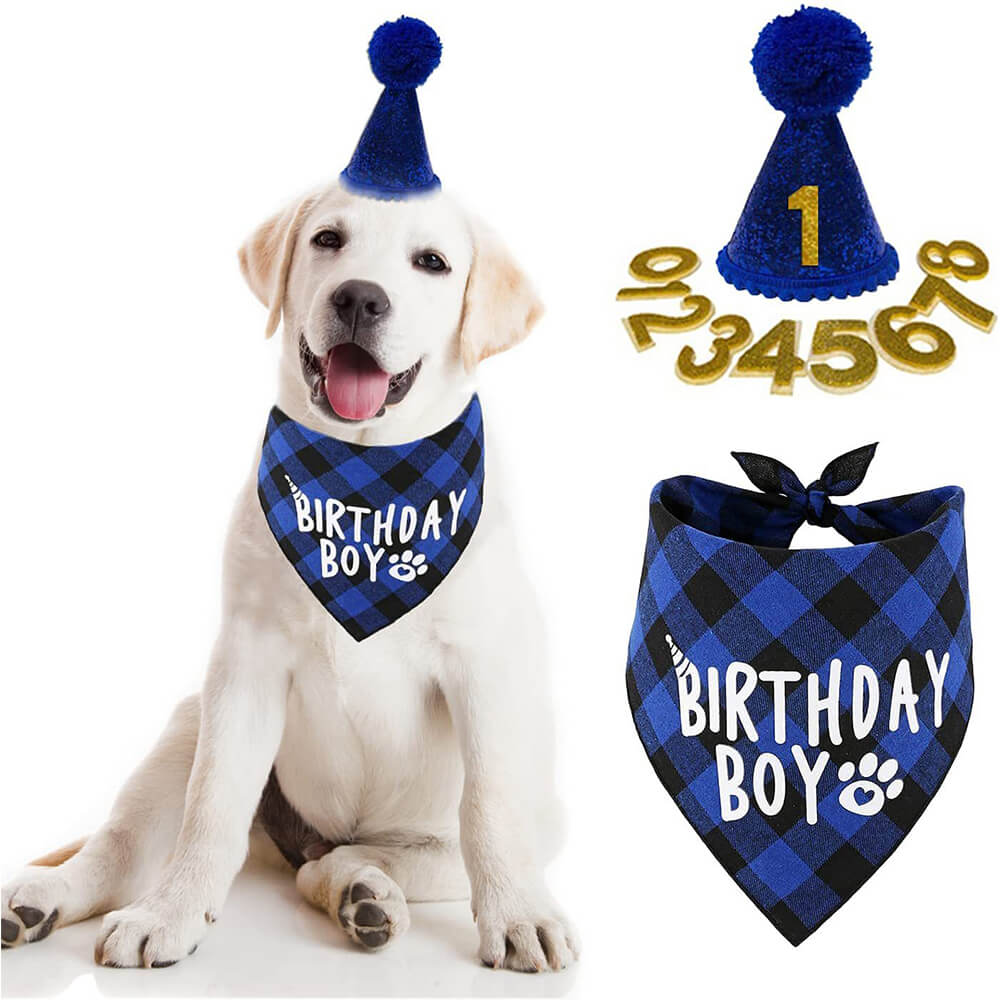 Pet Cat Dog Accessories Party Supplies Birthday Hat Bibs Set