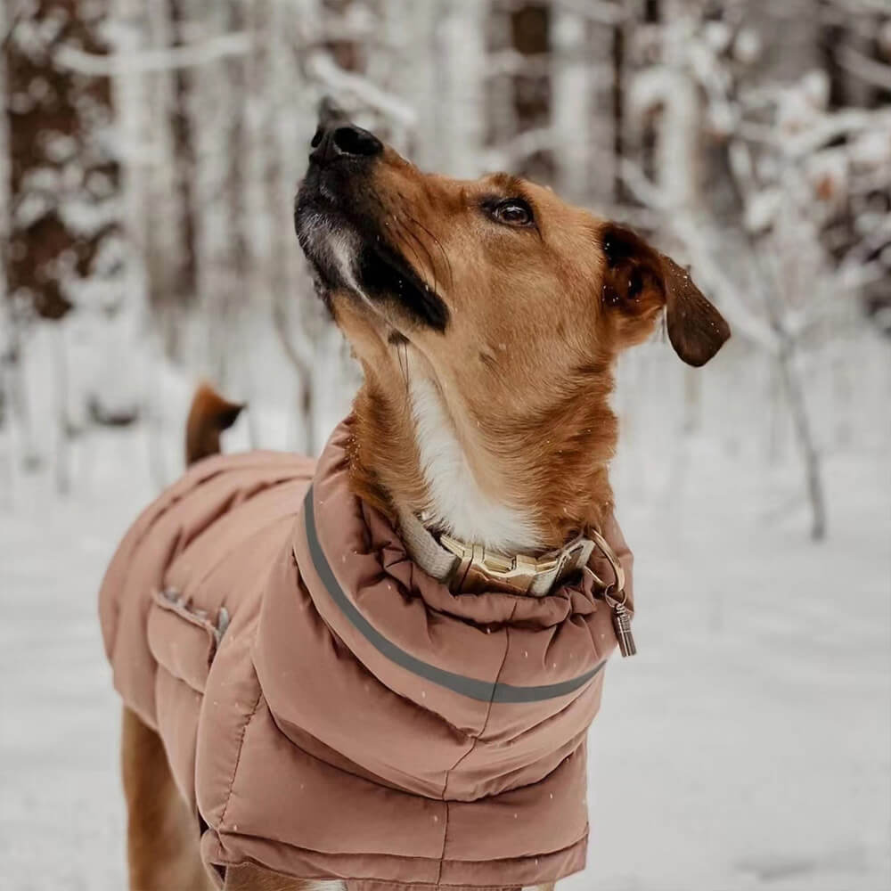 Gilet caldo impermeabile e antivento: il massimo del calore e dello stile invernali