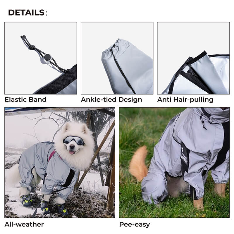 Accessori per cani riflettenti, impermeabili e per tutte le condizioni atmosferiche, giacca antipioggia.