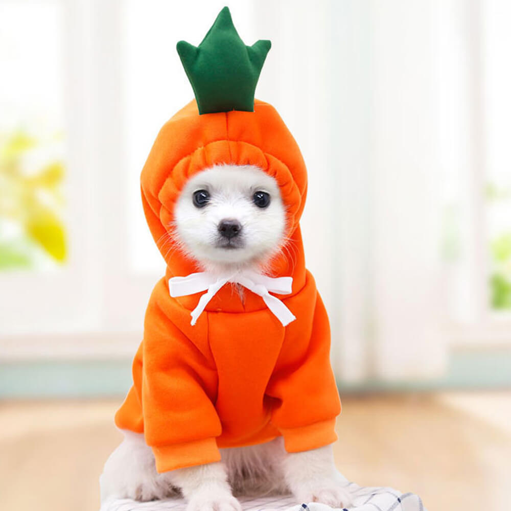 Funny Small & Medium-sized Dog Fruit Animals Pet Clothes