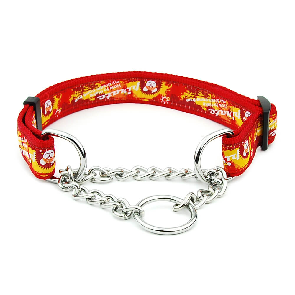 Collier pour chien à chaîne coulissante en nylon multicolore