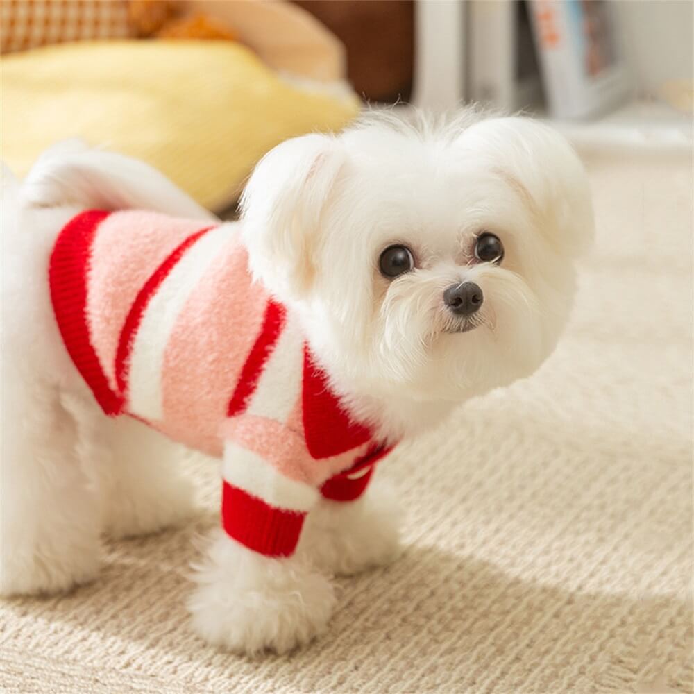 Cozy Striped Knitted Dog Sweater – Ideal for Small to Medium Breeds