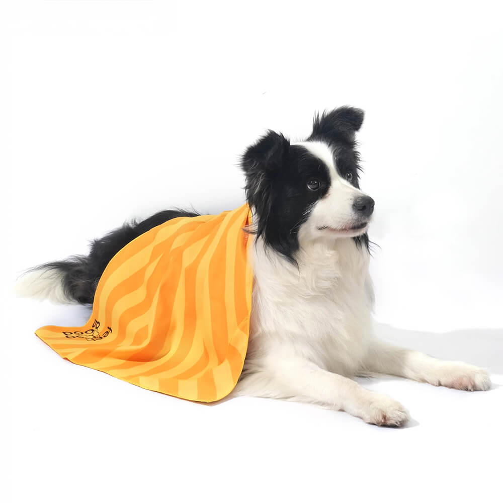 Asciugamano coperta da viaggio per cani ultra assorbente, leggero e ad asciugatura rapida