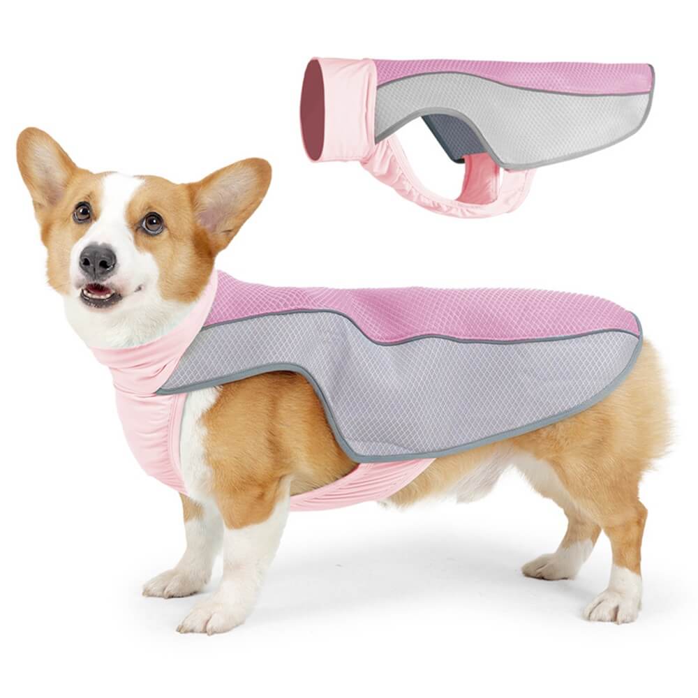 Ropa para mascotas Perro Verano Protección contra el calor - Ropa fresca de hielo para perros