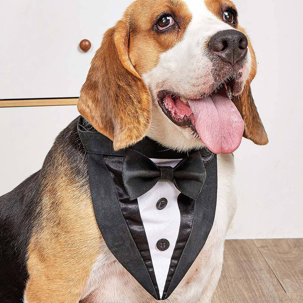 Dog Drool Towel Big Dog Bow Tie Scarf Suit Pet Clothes