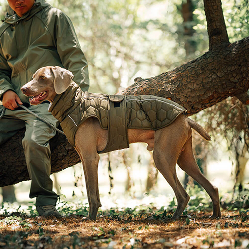 Gilet trapuntato per cani da esterno: caldo e resistente per escursioni e avventure