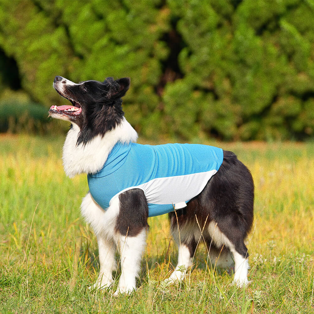Pet Dog Clothes Outdoor Contrast Color Sun Hat & Cooling Sun Tank Vest