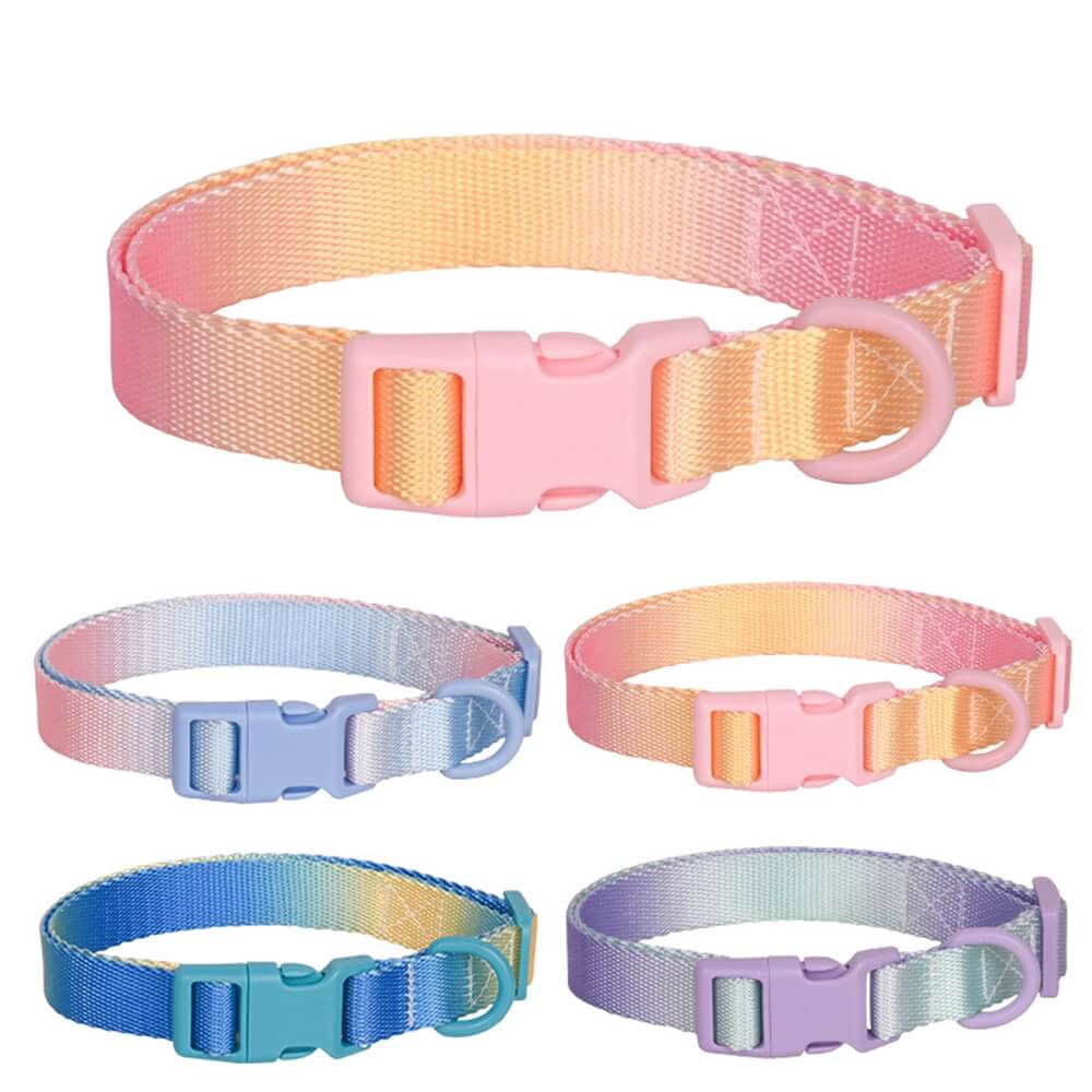 Macaroon Buckle Gradient Nylon Adjustable Dog Collar and Leash