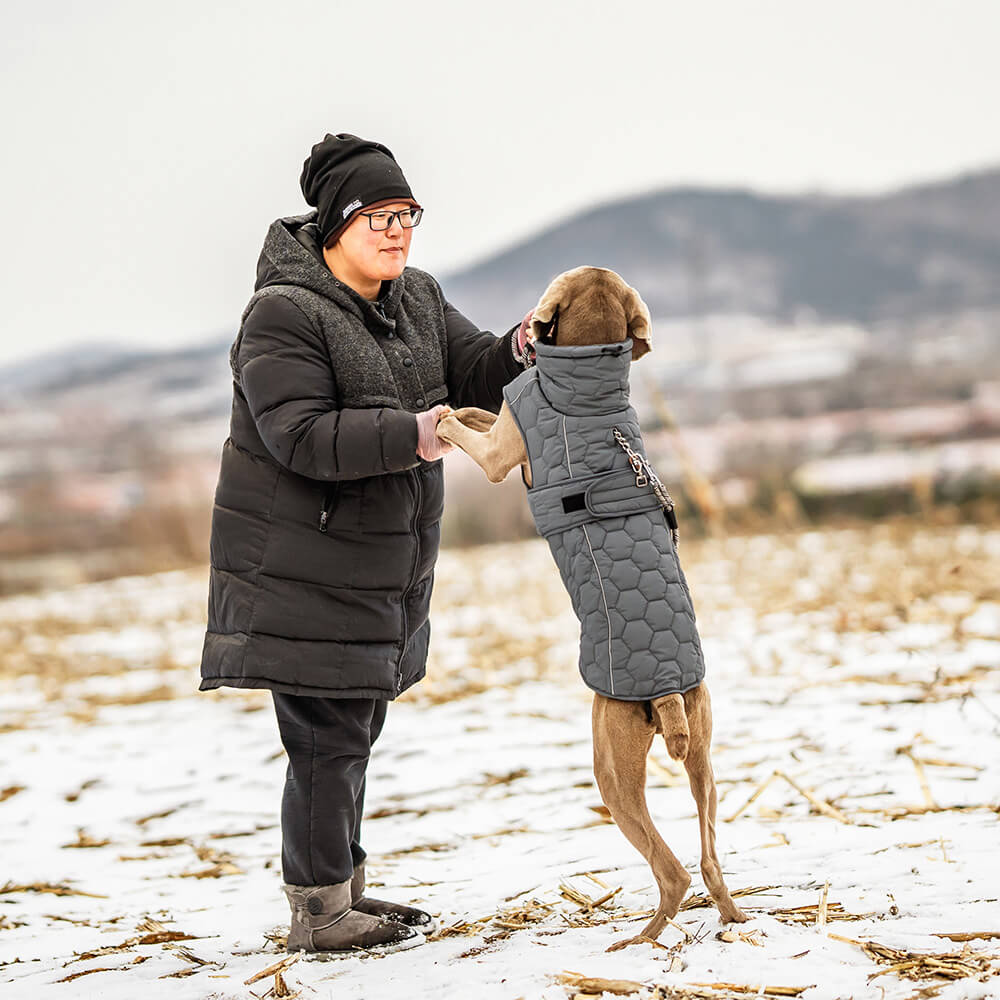 Quilted Outdoor Dog Vest - Warm and Durable for Hiking and Adventures