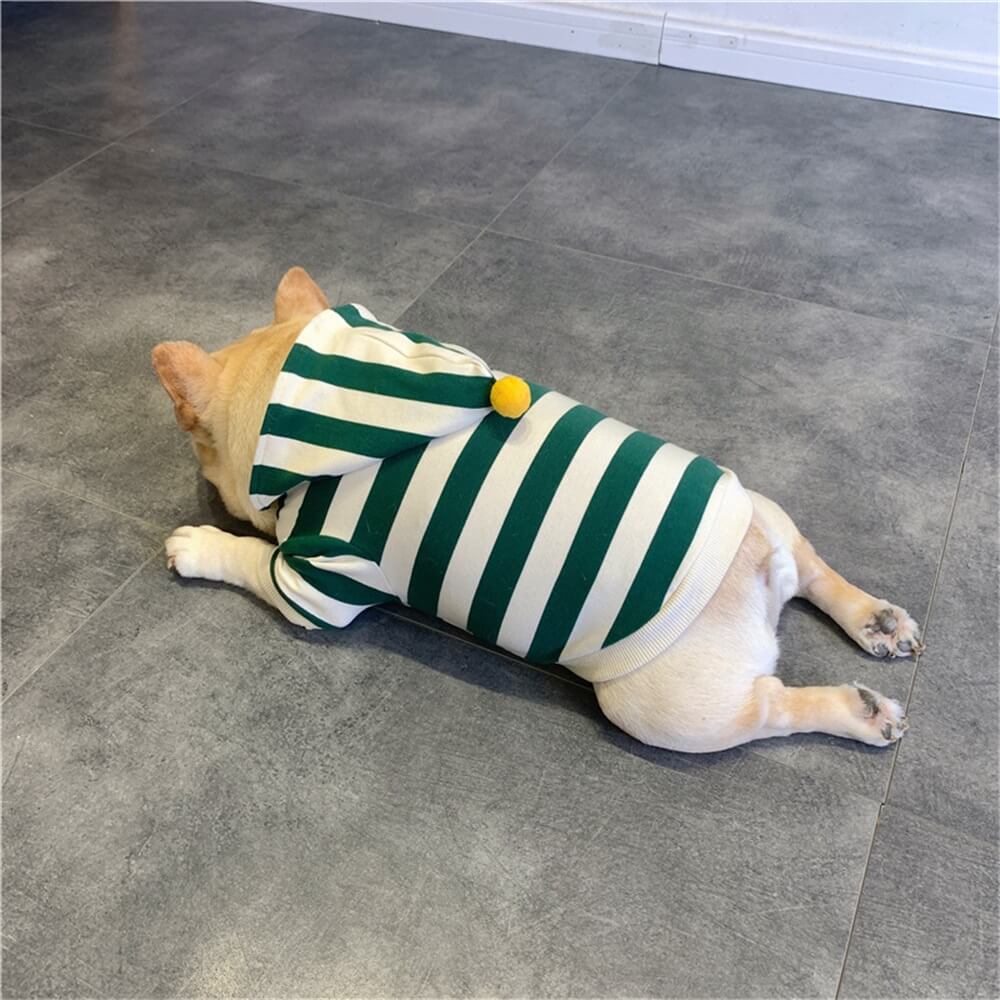 Striped Green Hoodie for Dogs with Pom-Pom Accent - Cozy & Cute Pet Apparel