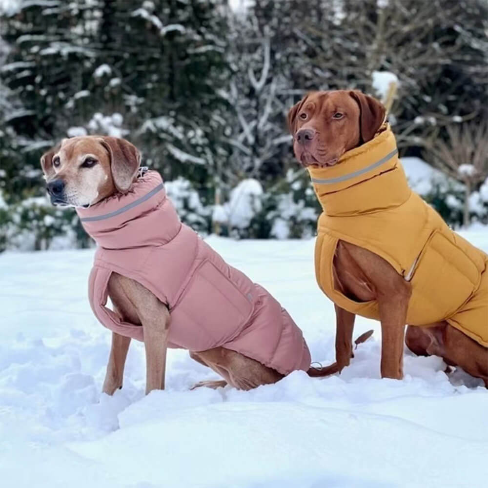 Gilet caldo impermeabile e antivento: il massimo del calore e dello stile invernali