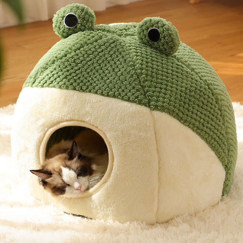 Adorabile cuccia per gatti a forma di rana avvolta