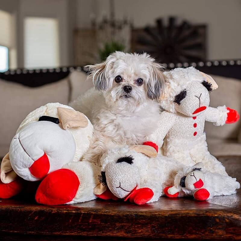 Giocattolo interattivo per cani in peluche a forma di agnello con scomettitore