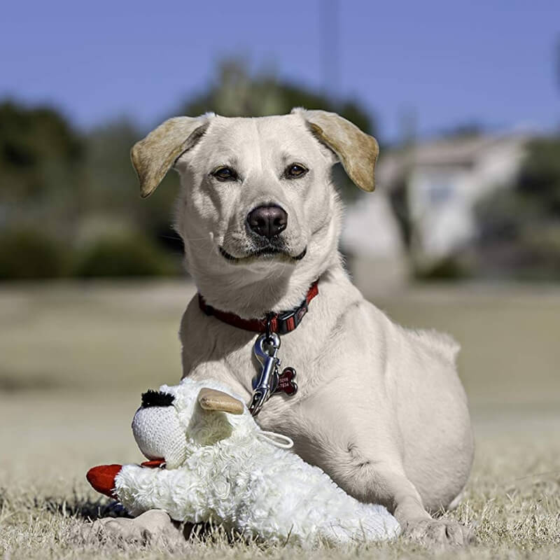 Giocattolo interattivo per cani in peluche a forma di agnello con scomettitore