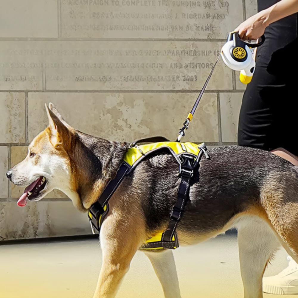 Leash retrattile automatica a prova di esplosione per cani di taglia media e grande