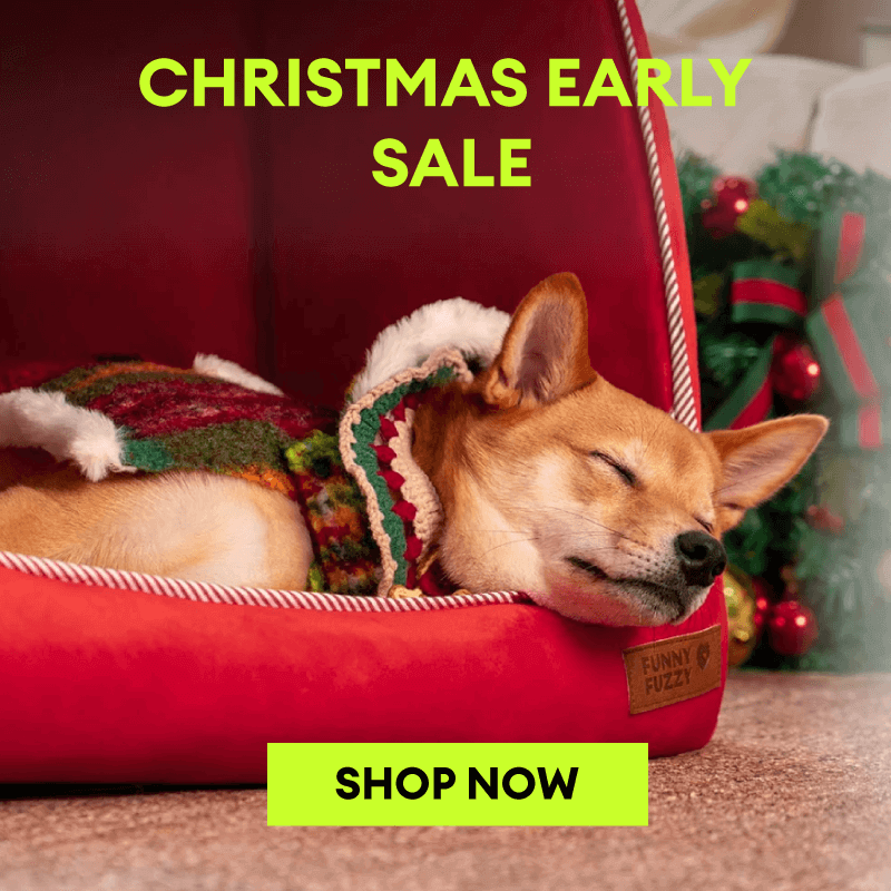 Black Friday Christmas Sale 2024 Early Bird