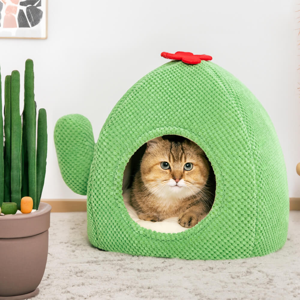 Caldo lettino per gatti a forma di cactus