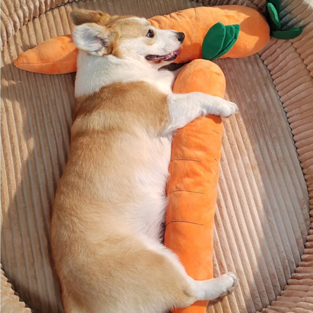 Giocattolo interattivo per cani in peluche a forma di carota con suono.