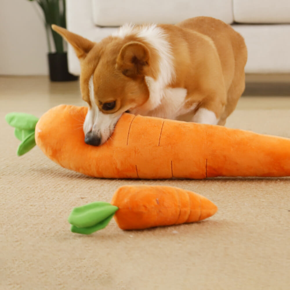 Giocattolo interattivo per cani in peluche a forma di carota con suono.