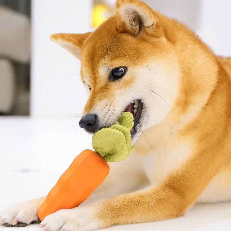 Giocattolo durevole da masticare per cani con carota