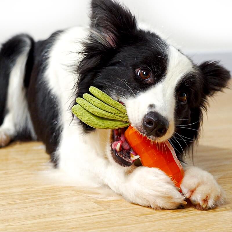 Giocattolo Squeaky Carota Resistente per Cani da Masticare