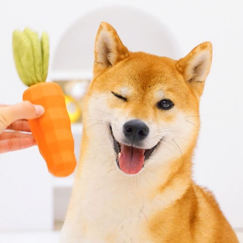 Giocattolo durevole da masticare per cani con carota