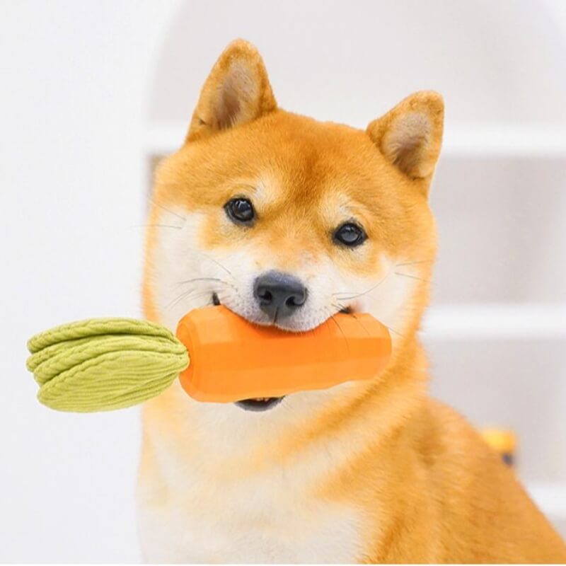 Giocattolo Squeaky Carota Resistente per Cani da Masticare