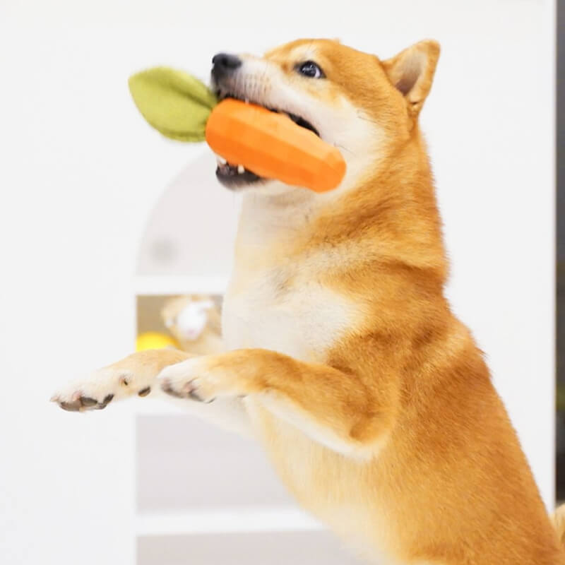 Giocattolo Squeaky Carota Resistente per Cani da Masticare