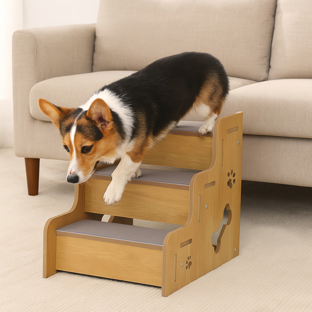 Rampa per cani in legno sicura, robusta e antiscivolo