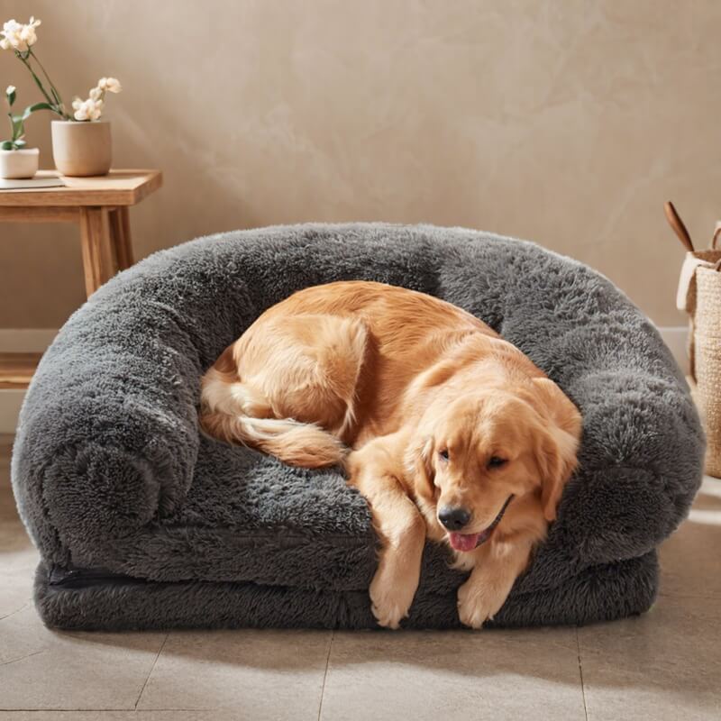 Cuccia Chic in peluche grande per cani, letto pieghevole per cani umani