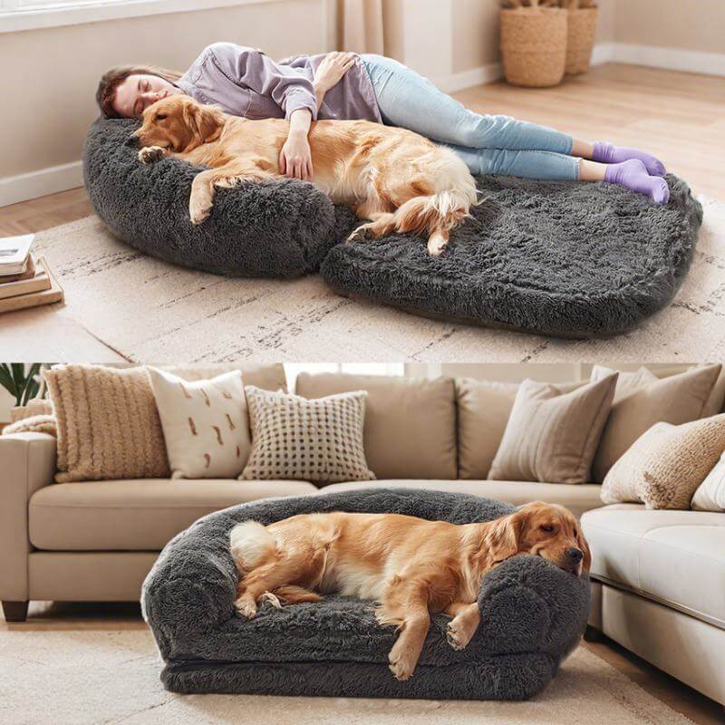 Cuccia Chic in peluche grande per cani, letto pieghevole per cani umani