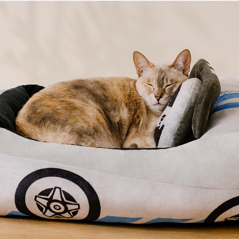 Letto per gatti imbottito a forma di auto da corsa cabriolet classica - Fast＆Fur