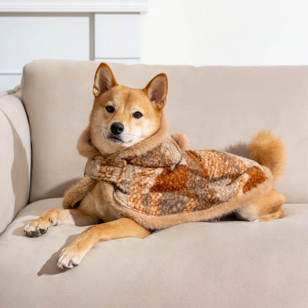 Poncho Classico a Quadri Caldo per Umani e Cani - Compagni Festivi