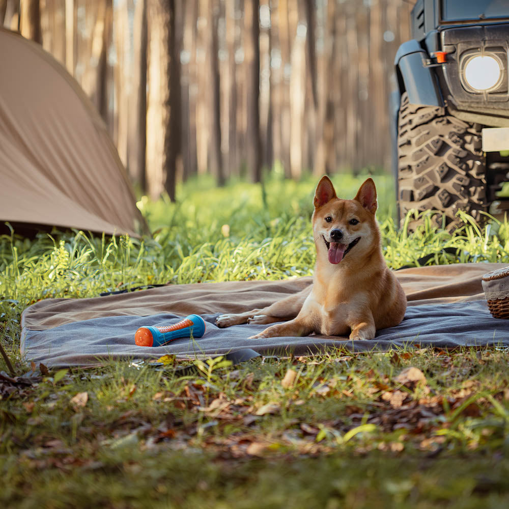 Classic Retro -Waterproof Camping & Car Dual-Use Back Seat Cover