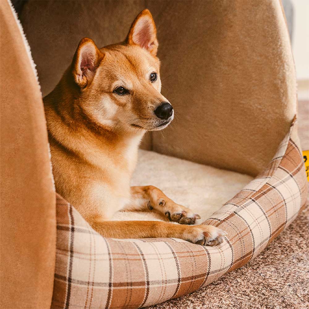 Letto ortopedico per cani a pois classico - Cabina ritirata