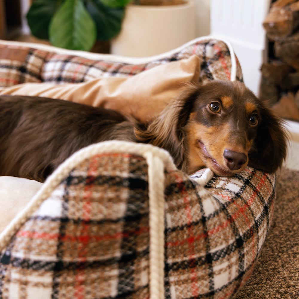 Letto per cani calmante con cuscino rimovibile a motivo plaid classico retrò - Rifugio nostalgico